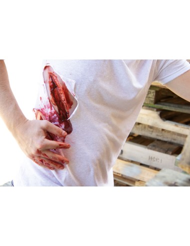 Moulage und Simulation einer großen...