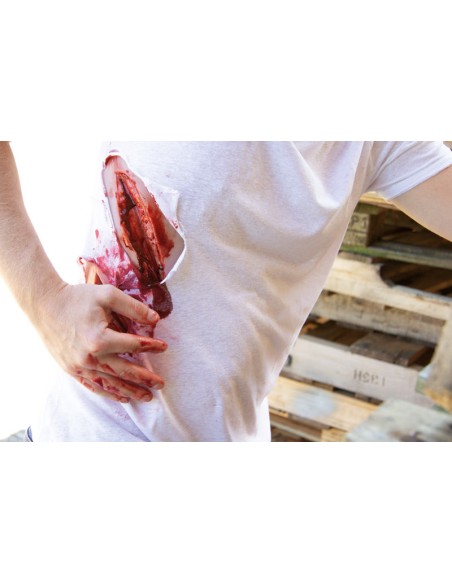 Moulage und Simulation einer großen Schnittwunde mit Blutungsfunktion Erler Zimmer NW100