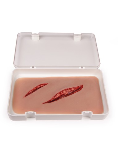 Moulage und Simulation einer großen...