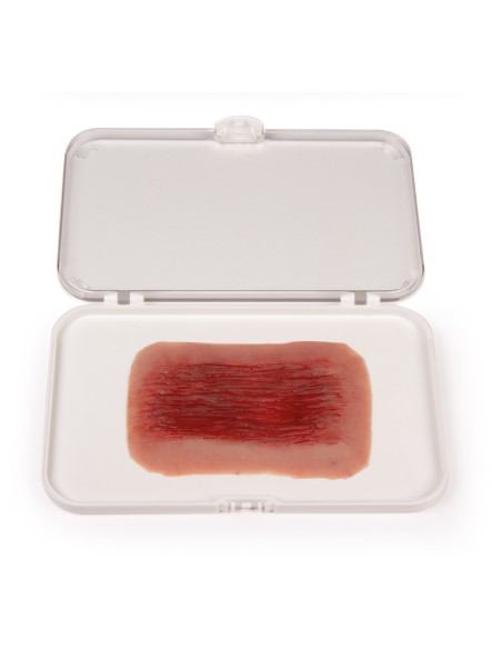 Moulage et simulation de plaies par abrasion Erler Zimmer NW006