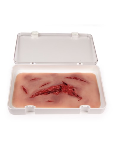 Moulage y simulación de gran laceración con...