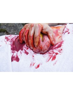 Moulage et simulation d'une plaie abdominale avec... 2