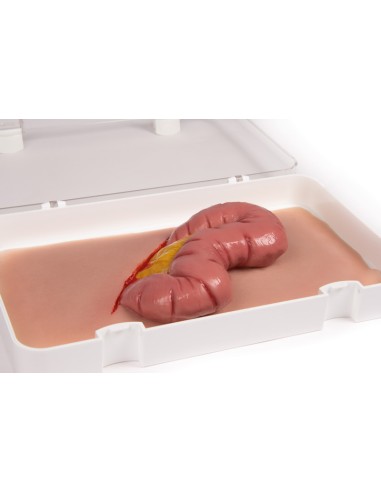 Moulage et simulation d'une plaie abdominale...