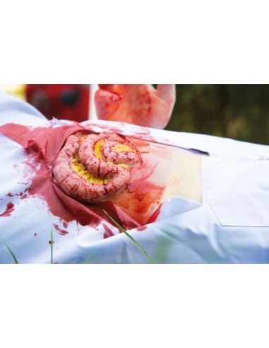 Moulage y simulación de herida abdominal con...