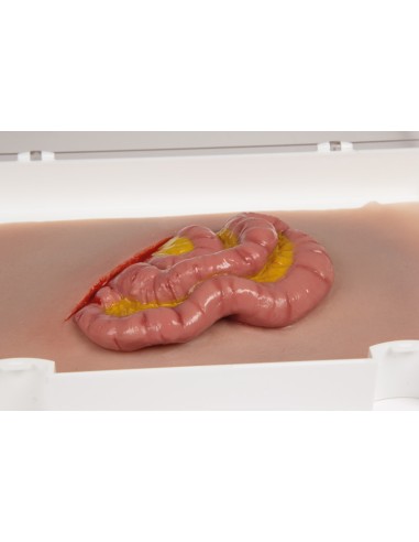 Moulage y simulación de herida abdominal con...