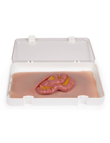 Moulage y simulación de herida abdominal con...