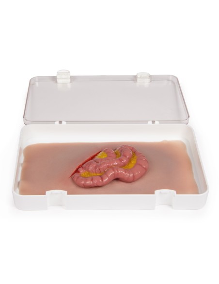 Moulage y simulación de herida abdominal con protrusión de intestino delgado Erler Zimmer NW111
