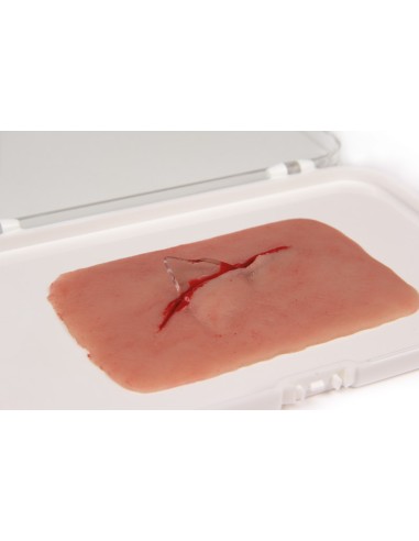 Moulage y simulación de herida con corte de...