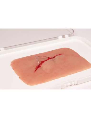 Moulage et simulation de plaie avec coupe...
