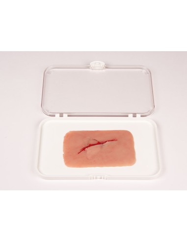 Moulage et simulation de plaie avec coupe...