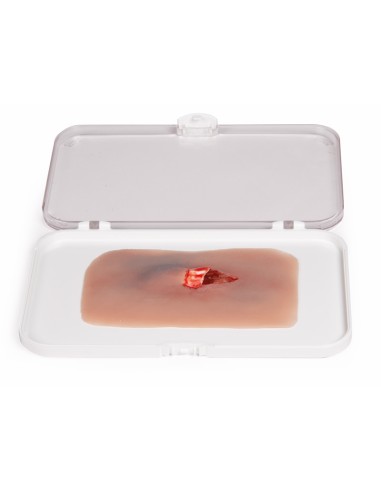 Moulage und Simulation einer freiliegenden...