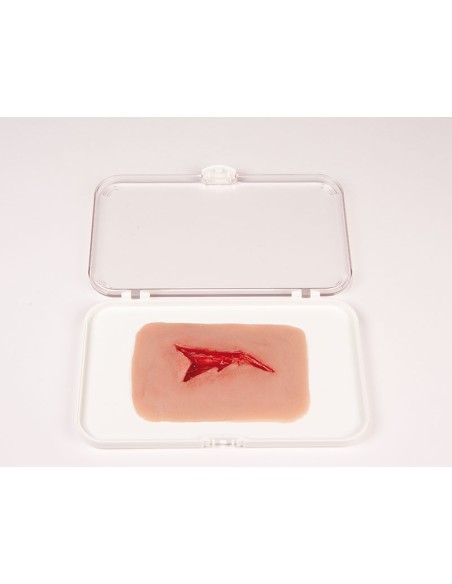 Moulage y simulación de heridas por laceración Erler Zimmer NW003