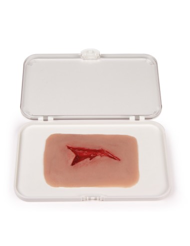 Moulage y simulación de heridas por laceración...