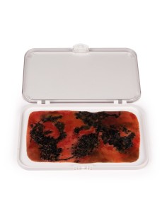 Moulage and simulation of third-degree burn wound Erler... 2