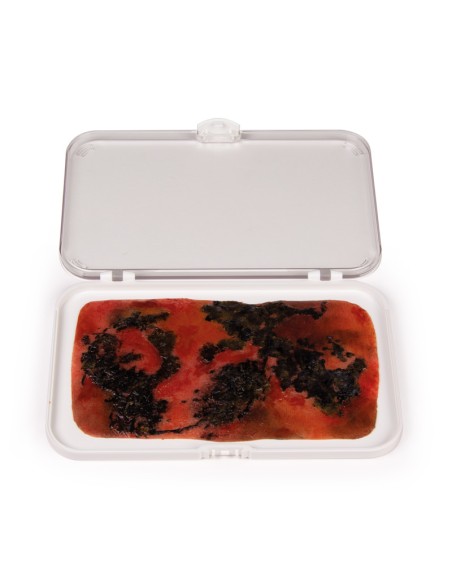 Moulage y simulación de herida por quemadura de tercer grado Erler Zimmer NW008