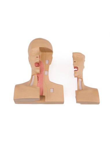 Simulateur médical pour la gestion de la...