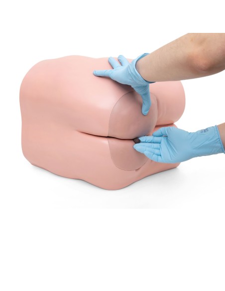 Simulatore per la cura intestinale 3B Scientific P16