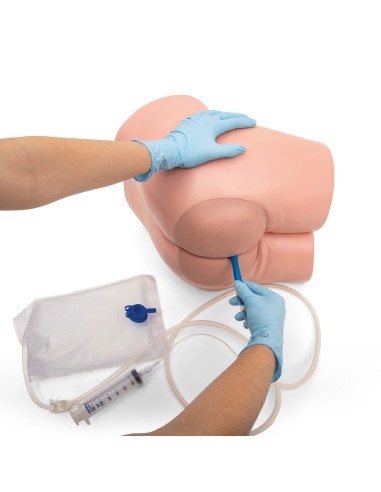 Simulatore per la cura intestinale 3B...