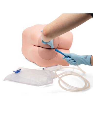 3B Scientific P16 Simulateur de soins intestinaux