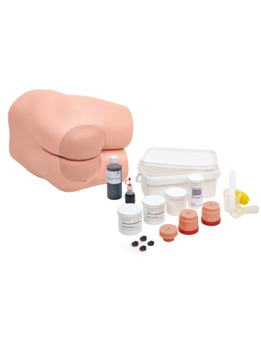 3B Scientific P16 intestinal care simulator