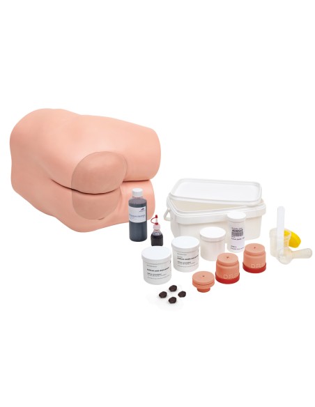 3B Scientific P16 intestinal care simulator