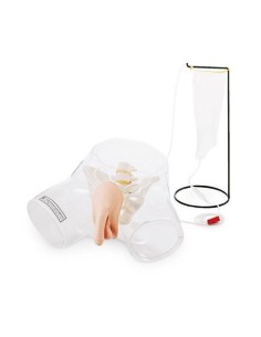 Transparenter Katheterisierungs-Trainingssimulator für...