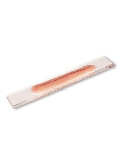 Surgical wound moulage without suture, 22cm (for self...