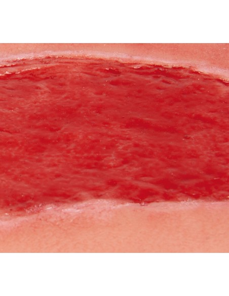 Moulage d'une plaie artérielle des membres inférieurs, large, granulante Erler Zimmer PW005B