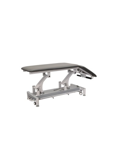 PH301 electric sunbed