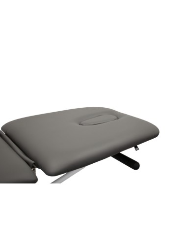 PH301 electric sunbed