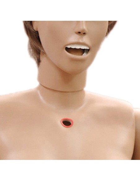 Bisexual Nursing Patient Simulator, Female- EZ R17600