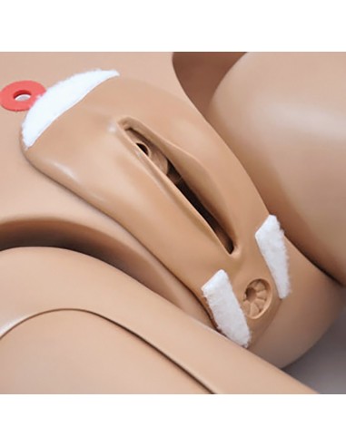 Simulateur de patient infirmier bisexuel, femme...