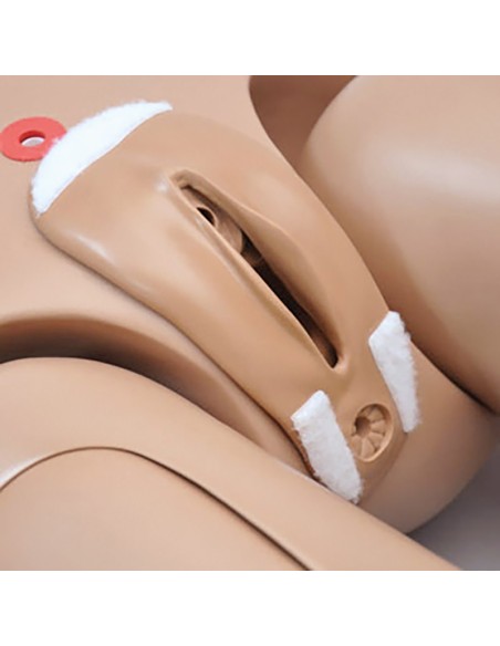 Bisexueller Krankenpflegesimulator, weiblich - EZ R17600