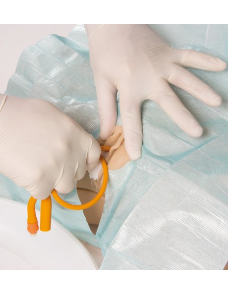Simulador de sondaje vesical femenino - Erler Zimmer 7050