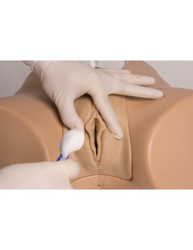 Female bladder catheterization simulator -...