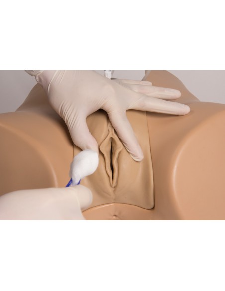 Female bladder catheterization simulator - Erler Zimmer 7050
