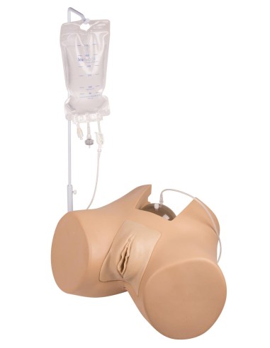Female bladder catheterization simulator -...