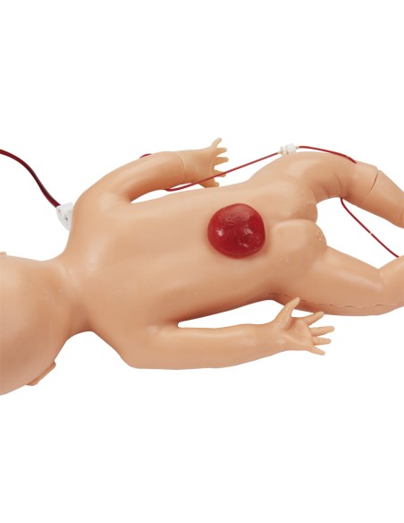 Newborn Simulator for Nursing Practice and ALS - Erler Zimmer BA96