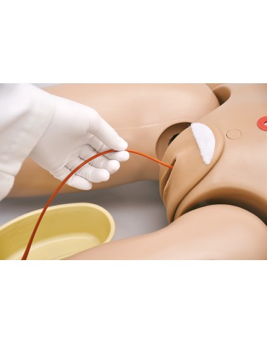 Simulateur de patient infirmier bisexuel,...