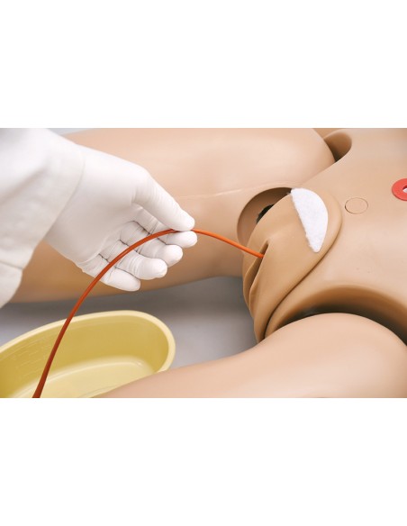 Simulateur de patient infirmier bisexuel, version avancée EZ R17650