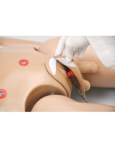 Bisexueller Krankenpflege-Patientensimulator,...