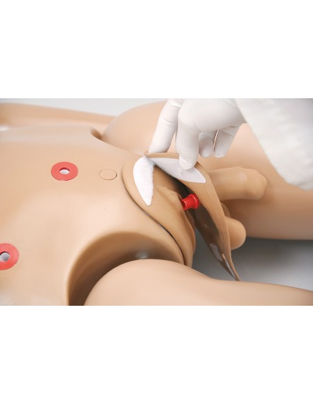 Bisexueller Krankenpflege-Patientensimulator, erweiterte Version EZ R17650