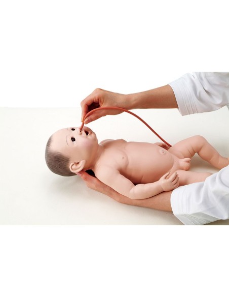 Infant manikin for nursing practice, male - Erler Zimmer LM26M