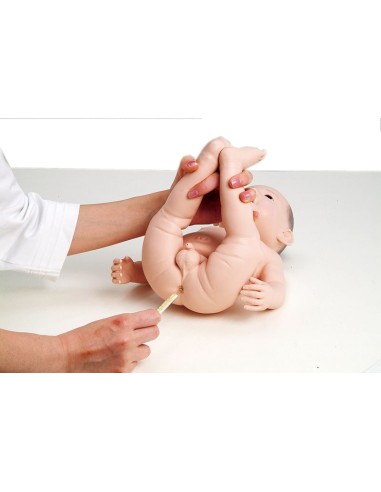 Maniquí de bebé para prácticas de enfermería,...