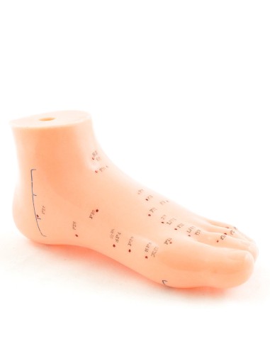 Modèle de pied d'acupuncture grandeur nature