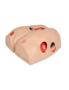 Simulador de úlceras por presión EZ-7600 2
