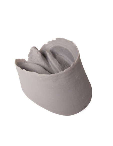 Horse hoof capsule Erler Zimmer VET4400-1