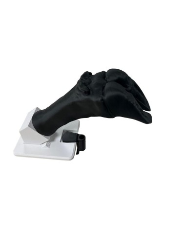 Klauenpflegesimulator für Rinder Erler Zimmer...