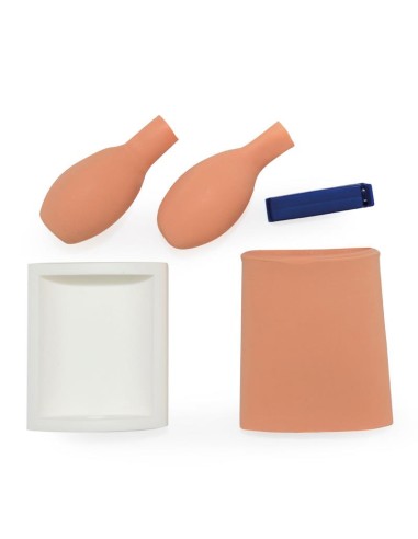 Entraîneur de ponction de vessie (cystocentèse)...