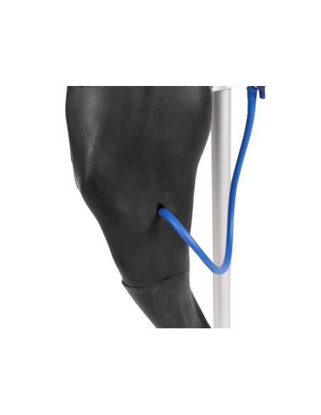 Simulador de venopunción e IM 'Vicky - Erler Zimmer VET4680